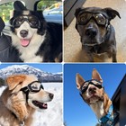 Dog Goggles For Large Breeds  Uv Protection Dog Sunglasses With Adjustable St   