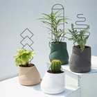 4 Pack Metal Plant Trellis For Climbing Plants Indoor Outdoor Vine Support Rack