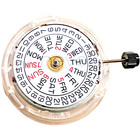 Movement - Eta - 2836-2 - Swiss Made -  Automatic - White Day   Date