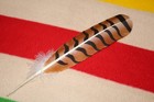 Native American Hand Painted Red-tailed Hawk Feather