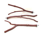 Manzanita Bird Perches Set Of 3 Forked Multibranch  Chemical Free   Perfect Feet