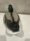 Avery Greenhead Gear Ghg Hot Buy Mallard Drake Duck Floating Decoy