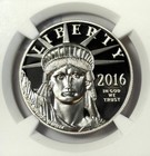 2016-w  100 Proof American Platinum Eagle 1 Oz Pf70 Uc Ngc R  Jeppson Signature