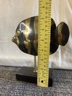 Vintage Brass Reef Fish Art Sculpture On Wood Base 7 5   high X 6 5    Wide