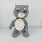 Gebra Rock Star Dancing   Singing Cat Animated Plush Sings Baby Shark Tested 14 