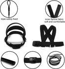 Bird Harness With Buckle Clip  With 80-inch Leash s Size  Black