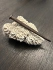 Ship Spike From Outer Banks Nc Shipwreck For Atocha   1715 Fleet Collectors