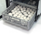 New Gqf 1502 - Digital Sportsman Cabinet Incubator Hatching Eggs Made In Usa