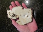 Michigan Petoskey Stones In Lucite State Shape Hangable Display Souvenir