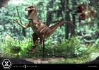Prime 1 Studio Velociraptor Jump 1 10 Limited Collectible Dinosaur Statue New