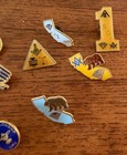 Lot Of Misc California Freemason Masonic California Raisin Lapel Pins