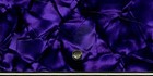 Fender Made In Mexico 5 String Jazz Bass V Purple Pearl