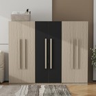 6 Doors Wardrobe Armoires Closet Storage Cabinet Organizer  2 Drawers  Shelves