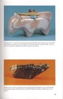 Southwest Native American Indian Fetish Collector Guide Guardian Spirits Figures