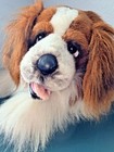 Vtg Jc Penney King James Spaniel Plush Stuffed Dog 30  Large Lifelike Real Gift
