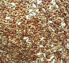 Pigeon Dove Seed Wild Bird Feed Food Resealable Choose Size   