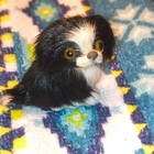 Vintage Japanese Chin Dog Beautiful Black And White Lovely Brown Eyes