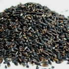 Wild Black Japonica Rice Gmo Free Premium Quality