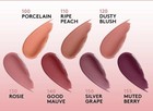Covergirl Outlast All-day Lip Color With Topcoat   You Choose