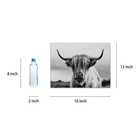 Highland Cow Wall Art Canvas Print Black And White Animal Canvas Picture Fram   