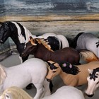 Schleich Collectable Horses   Miscellaneous Horseshow Accessories Lot Of 24