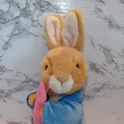 Peter Rabbit Beatrix Potter Collection Frederick Warne Eden Plush Vintage Bunny 
