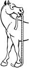 Tough 1 Sure Measure Horse And Pony Height weight Tape