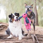 Kong Floppy Knots Medium Large Dog Tug Toy With Squeakers And Knotted Rope