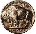 1938-d Buffalo Nickel   Almost Uncirculated   au     Better Date 