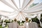 120  Wide  10ft sheer Voile Chiffon Fabric  Perfect For Draping Panels Weddings
