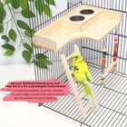Kathson Parrot Playground For Cage Hanging Parakeet Playing Gyms Wooden Bird    