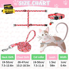 2 Pack Cat Harness And Leash  Escape Proof Adjustable Kitten Harness With Leash 