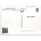 Great Smoky Mountains National Park Vintage Postcard Fall Foliage