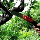 Ars Curve Saw Unseasoned Wood Gr-17 Japan Import Free Ship