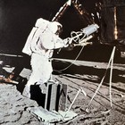 Vintage Original 1969 Nasa Apollo 12 Astronaut Alan Bean Moon 8  X 10  Photo