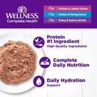 Wellness Complete Health Pate Variety Pack Adult Canned Wet Cat Food  Natural   