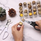 Adecco Pigeon Quail Egg Cutter Scissors Stainless Steel Blades Bird Cutter 2 Pac