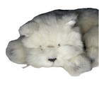 Rare Realistic White Himalayan Kitten Plush Avanti Baby  Animals Applause 1985