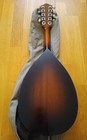  Levin Mandolin By Herman Carlson Levin From 1958  Model 55
