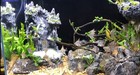Underwater Sand Waterfall Aquarium Mountain View Decoration Large Ornament La   