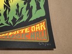 King Gizzard   The Lizard Wizard Houston Texas 2024 Poster Amy Jean