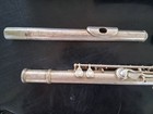 Artist Flute Hard Case Flute Musical Instruments Wind Horn Not Sterling Silver