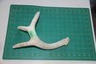 Xxlarge Branched Deer Antler Dog Chew  75   Bone Chews Deer Elk Treats Deer 1102