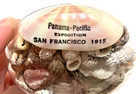 1915 Ppie Panama Pacific International Exposition Paperweight San Francisco