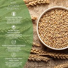 Dfols Einkorn Whole Grain Ancient Wheat 0 55lb 8 82oz 250g                   