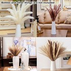 60 Pcs Pampas Grass Natural Dried Reed Flower Bunch Home Wedding Decor Bouquets