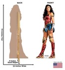 Wonder Woman 1984 Life Size Cardboard Cutout Standup - Wonder Woman 1984  202   