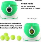 Automatic Dog Ball Launcher  Dog Ball Thrower With 3 Pcs 2   Mini Tennis Balls