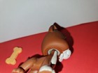 Authentic Littlest Pet Shop  589 Great Dane Brown White Dog Diamond Eyes Lps