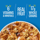 Kellogg s Raisin Bran Crunch Breakfast Cereal  Mega Size  26 7 Oz Free Shipping